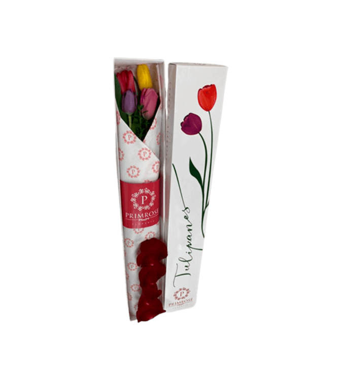 Caja de 4 Tulipanes