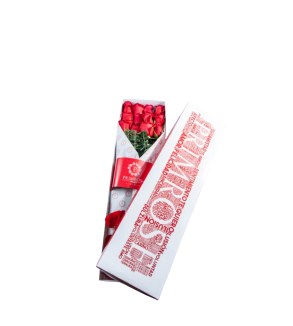 CAJA DE 12 ROSAS