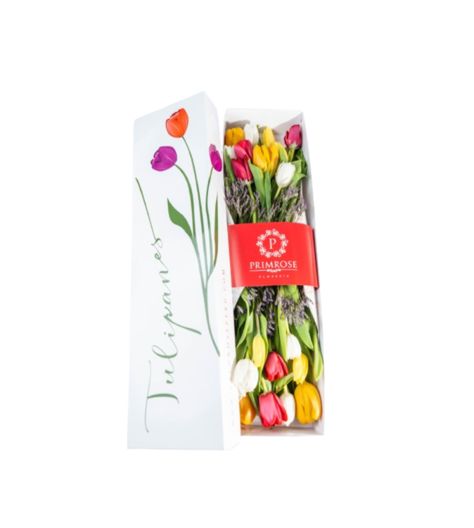 CAJA DE 20 TULIPANES