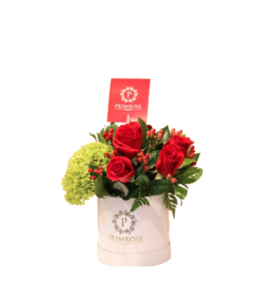 BOX SUSPIRO DE AMOR