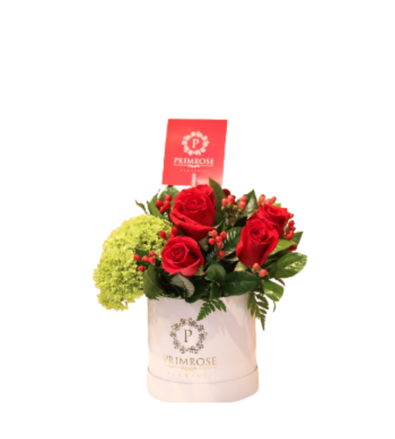 BOX SUSPIRO DE AMOR