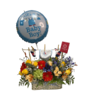 Canasta de nacimiento Pequeño bebé