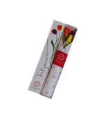 CAJA DE 3 TULIPANES