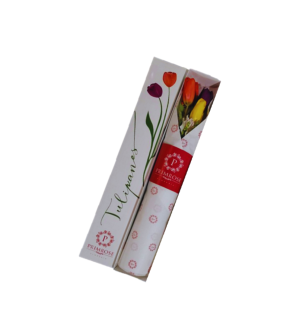 CAJA DE 3 TULIPANES