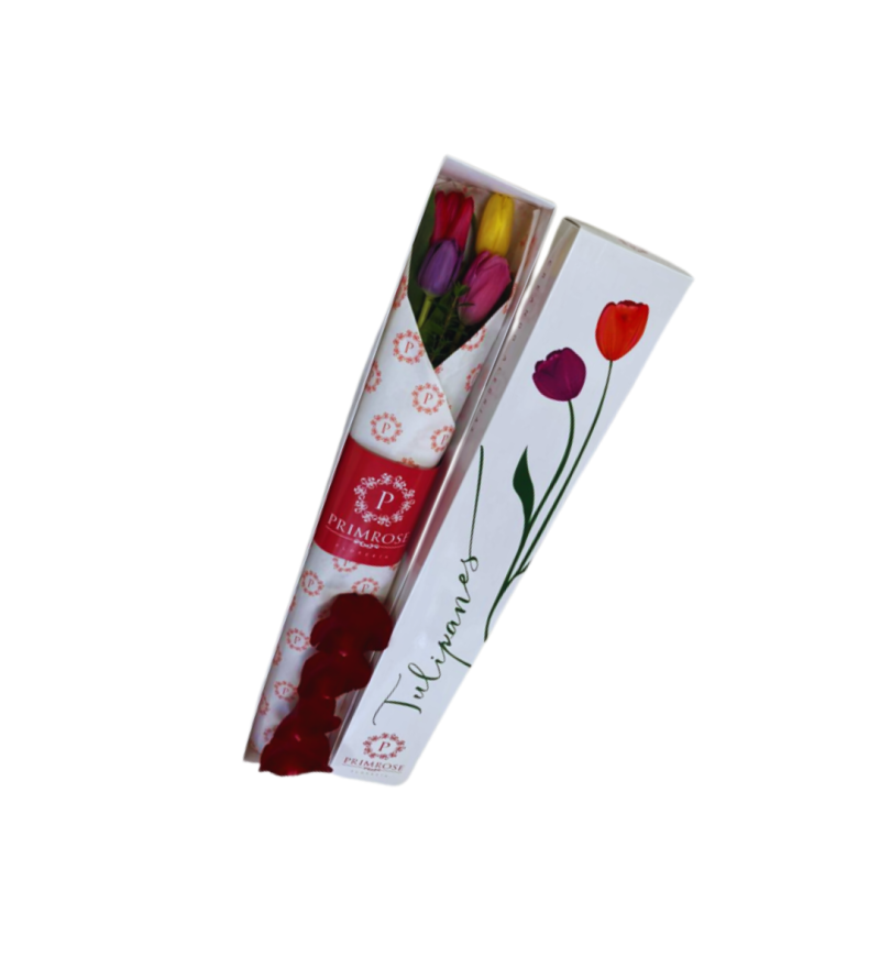 CAJA DE 4 TULIPANES