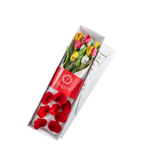 CAJA 10 TULIPANES