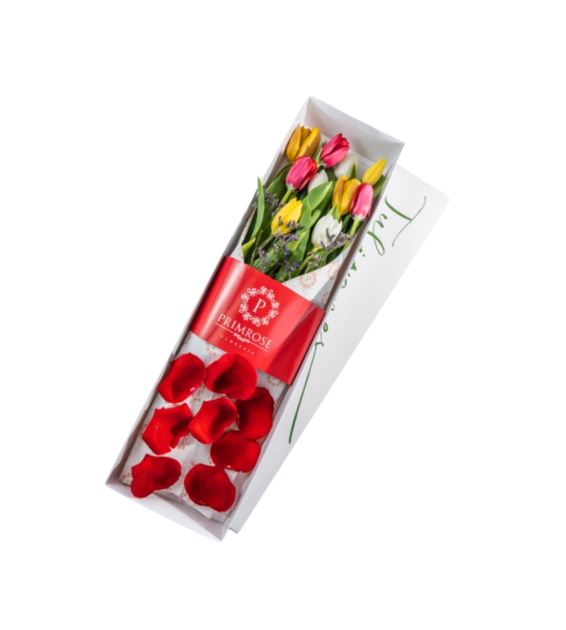 CAJA 10 TULIPANES
