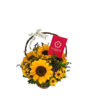 CANASTA DE 5 GIRASOLES