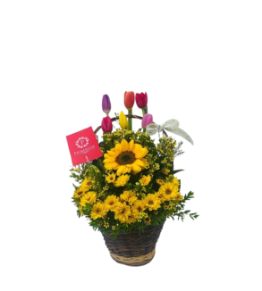 CANASTA PRIMAVERAL