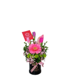 Mini box de 3 tulipanes
