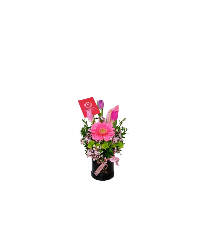 Mini box de 3 tulipanes