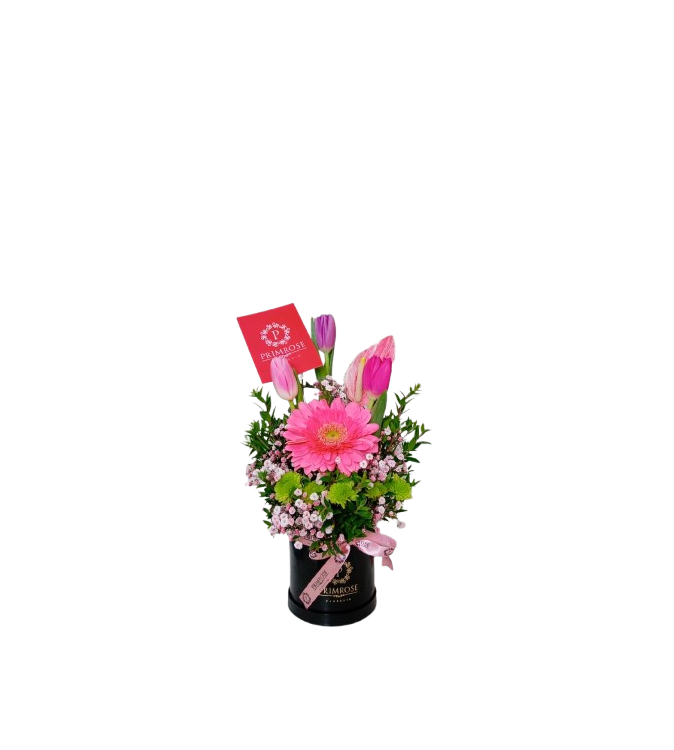 Mini box de 3 tulipanes