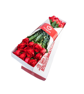 CAJA DE 24 ROSAS SV