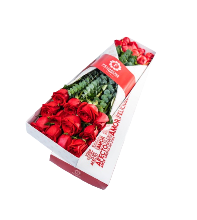 CAJA DE 24 ROSAS SV