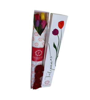CAJA DE 4 TULIPANES SV