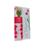CAJA 6 TULIPANES SV