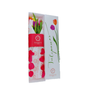 CAJA 6 TULIPANES SV