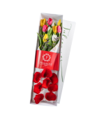 CAJA DE 10 TULIPANES SV