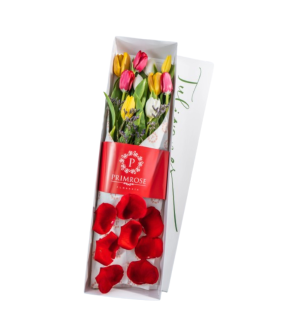 CAJA DE 10 TULIPANES SV