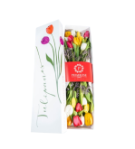 CAJA DE 20 TULIPANES SV