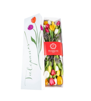 CAJA DE 20 TULIPANES SV