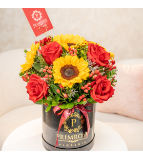 BOX PREMIUM RADIANTE