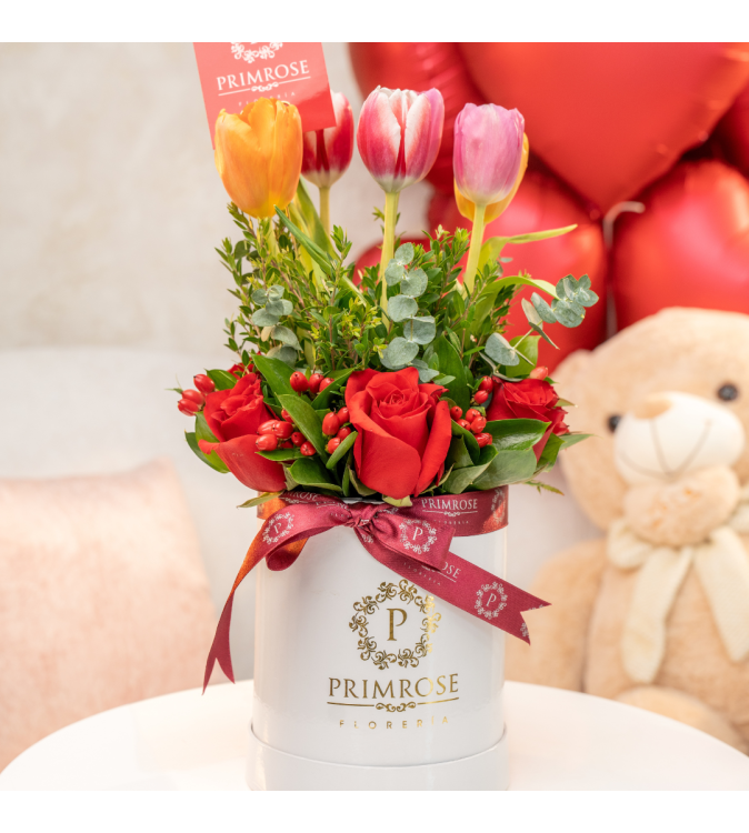 BOX PREMIUM AROMA FLORAL