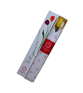 CAJA DE 1 TULIPAN