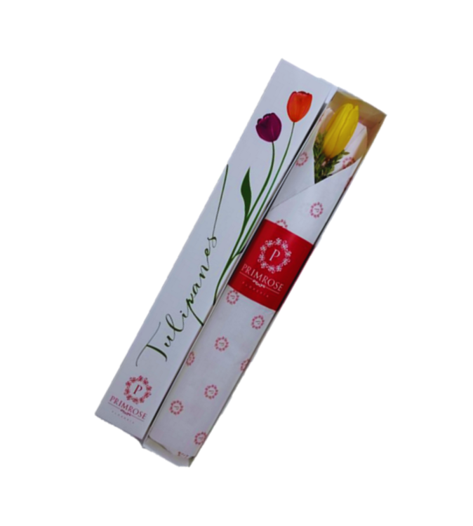 CAJA DE 1 TULIPAN