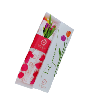 CAJA DE 6 TULIPANES