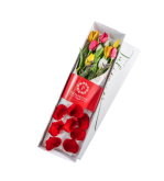 CAJA DE 10 TULIPANES