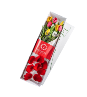 CAJA DE 10 TULIPANES