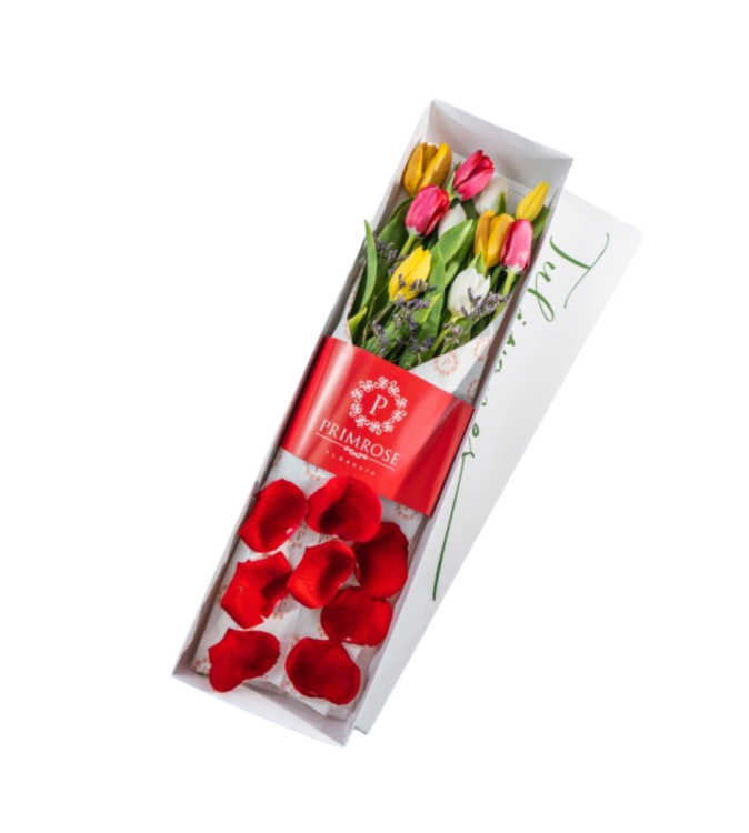 CAJA DE 10 TULIPANES