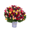 Rosas de color