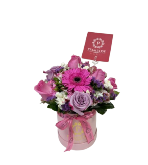 BOX PREMIUM BELLA