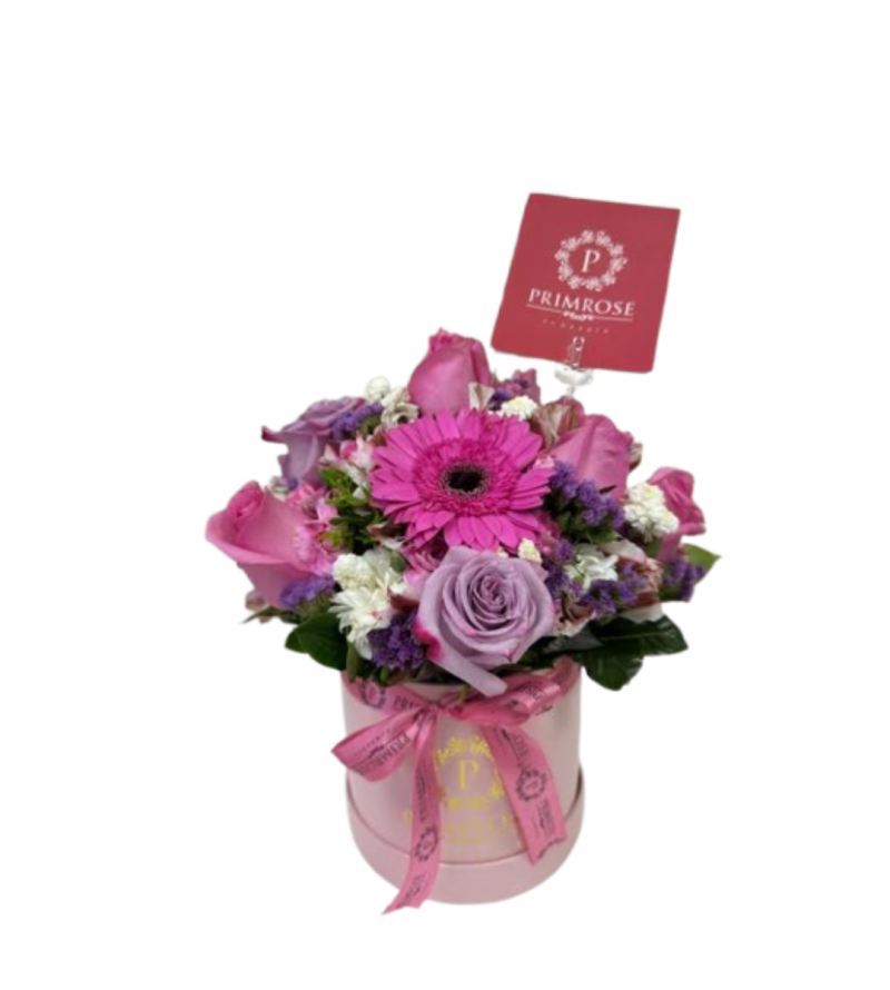 BOX PREMIUM BELLA