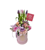 BOX PREMIUM ALMA